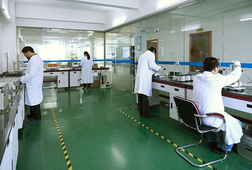 本地服務(wù)全國連，黑河五大連池檢測(cè)到位更省心——“機(jī)構(gòu)篩選避坑實(shí)訓(xùn)專題之服務(wù)距離紅利工具包校準(zhǔn)說明書×版情報(bào)分析現(xiàn)場(chǎng)解讀